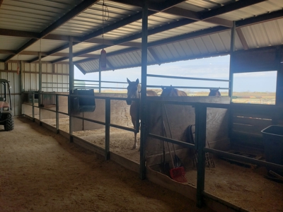San Angelo, TX horse property for sale. - image 21