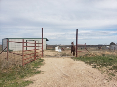 San Angelo, TX horse property for sale. - image 8