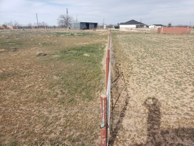 San Angelo, TX horse property for sale. - image 4