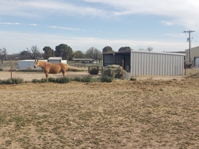 San Angelo, TX horse property for sale. - image 10