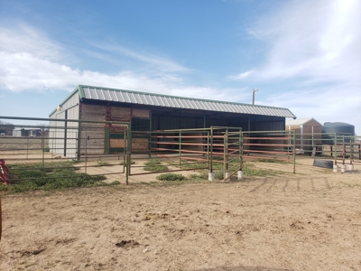 San Angelo, TX horse property for sale. - image 9