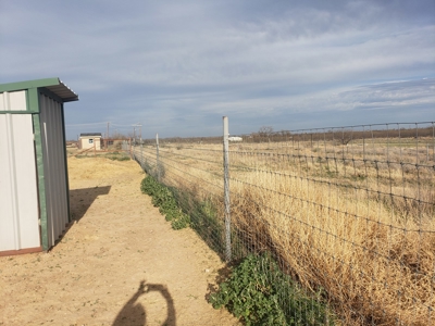 San Angelo, TX horse property for sale. - image 19