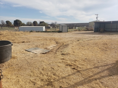 San Angelo, TX horse property for sale. - image 15