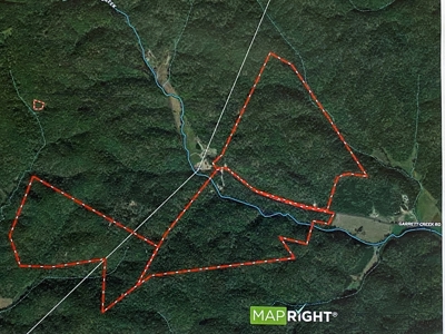 259 Acre sportsman's paradise for sale near Burksville, Ky. - image 15
