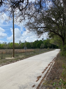 Vacant Lot Near The Suwannee River In Mayo, Fl For Sale!!! - image 2