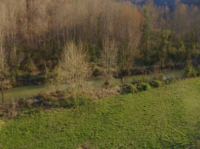 East Tennessee Mountain Retreat for Sale Scott County TN - image 10
