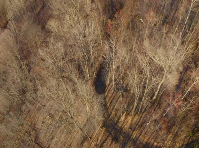 East Tennessee Mountain Retreat for Sale Scott County TN - image 34