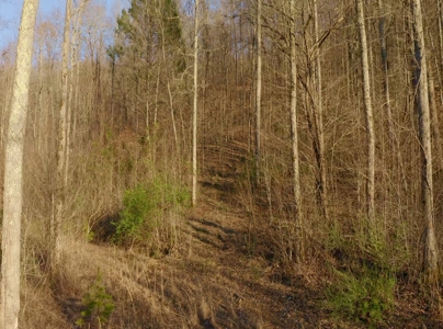 East Tennessee Mountain Retreat for Sale Scott County TN - image 26