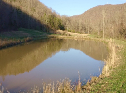 East Tennessee Mountain Retreat for Sale Scott County TN - image 19