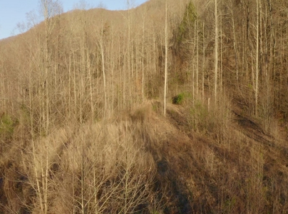 East Tennessee Mountain Retreat for Sale Scott County TN - image 25