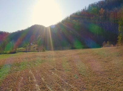 East Tennessee Mountain Retreat for Sale Scott County TN - image 4