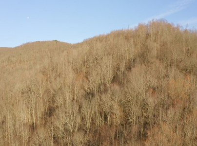 East Tennessee Mountain Retreat for Sale Scott County TN - image 31
