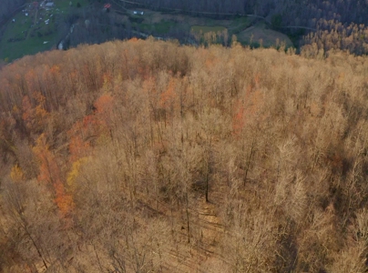 East Tennessee Mountain Retreat for Sale Scott County TN - image 45