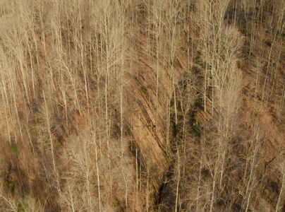 East Tennessee Mountain Retreat for Sale Scott County TN - image 30