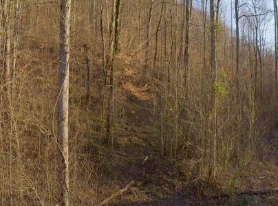East Tennessee Mountain Retreat for Sale Scott County TN - image 29