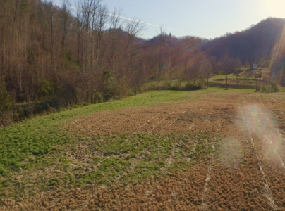 East Tennessee Mountain Retreat for Sale Scott County TN - image 6