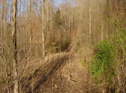East Tennessee Mountain Retreat for Sale Scott County TN - image 27