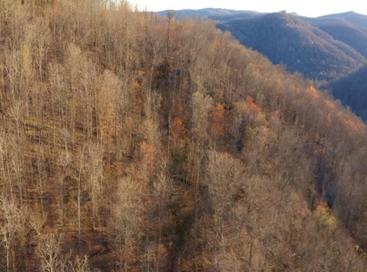 East Tennessee Mountain Retreat for Sale Scott County TN - image 37