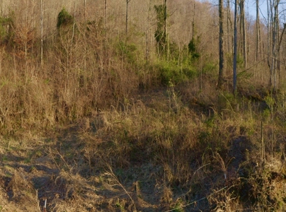 East Tennessee Mountain Retreat for Sale Scott County TN - image 23