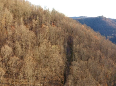 East Tennessee Mountain Retreat for Sale Scott County TN - image 40