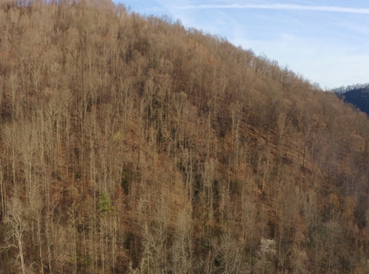 East Tennessee Mountain Retreat for Sale Scott County TN - image 17