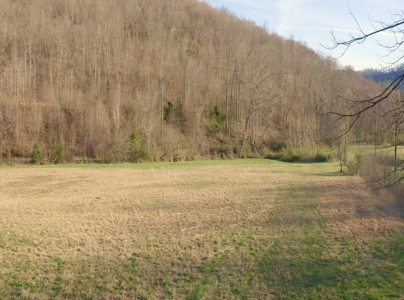 East Tennessee Mountain Retreat for Sale Scott County TN - image 3
