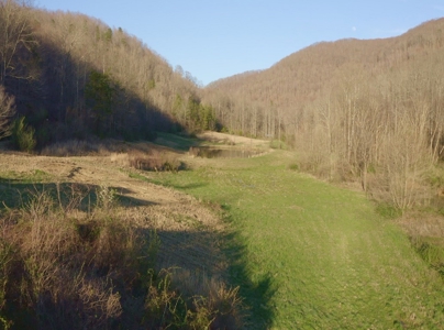 East Tennessee Mountain Retreat for Sale Scott County TN - image 13