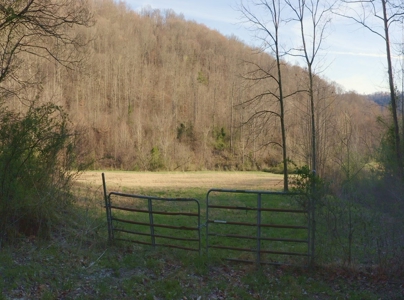 East Tennessee Mountain Retreat for Sale Scott County TN - image 2