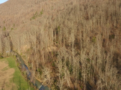 East Tennessee Mountain Retreat for Sale Scott County TN - image 16