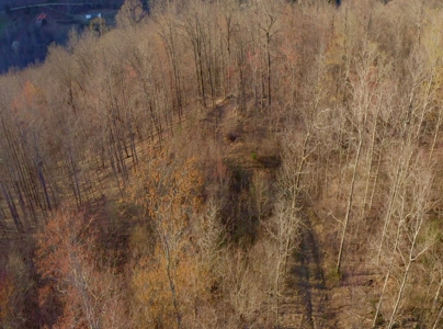 East Tennessee Mountain Retreat for Sale Scott County TN - image 33