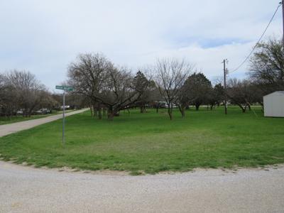 Lake Brownwood Lots For Sale - image 3