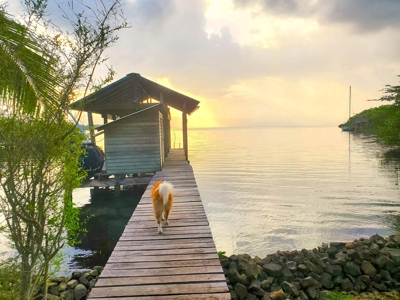 Charming Coastal Home  amazing views  Bocas del Toro Panama - image 20
