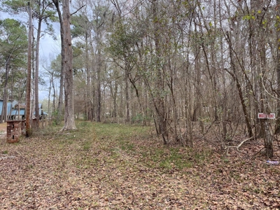 Log Landing Subdivision! - image 1