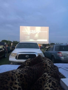 RV Park, Drive-in Cinema, Restaurant, and More! - image 39