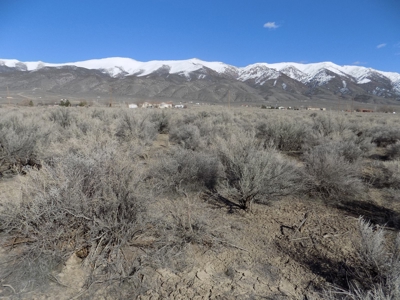 Residential Lot minutes away from State Recreation Area - image 1