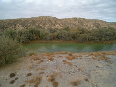 Residential Lot minutes away from State Recreation Area - image 13