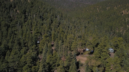 Mountain Property in Colorado for sale - image 10