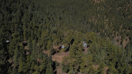 Mountain Property in Colorado for sale - image 9