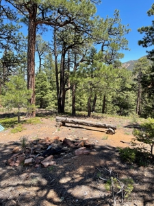 Mountain Property in Colorado for sale - image 22