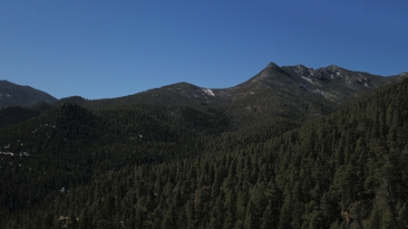 Mountain Property in Colorado for sale - image 3