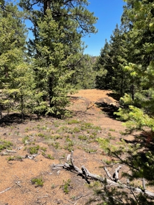 Mountain Property in Colorado for sale - image 19