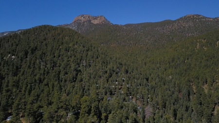 Mountain Property in Colorado for sale - image 6