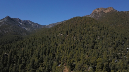 Mountain Property in Colorado for sale - image 7