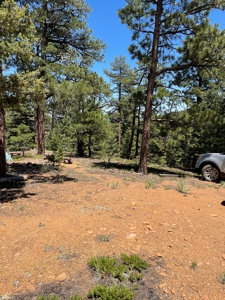 Mountain Property in Colorado for sale - image 21