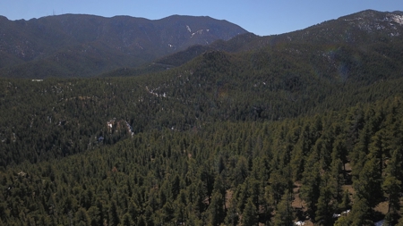 Mountain Property in Colorado for sale - image 13