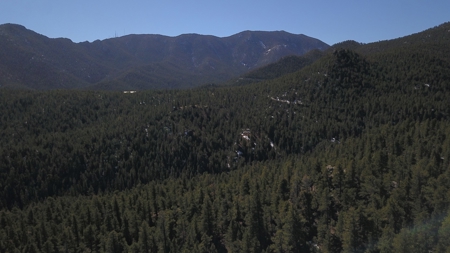 Mountain Property in Colorado for sale - image 4