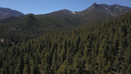 Mountain Property in Colorado for sale - image 12