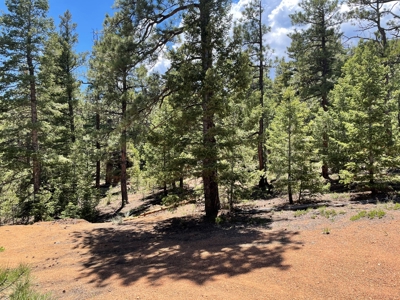 Mountain Property in Colorado for sale - image 29