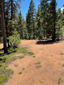 Mountain Property in Colorado for sale - image 24