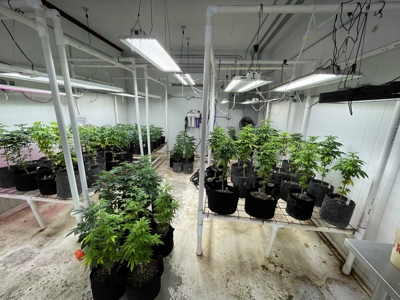 Cannabis Grow Operation 13.17 acres Tishomingo Oklahoma - image 3